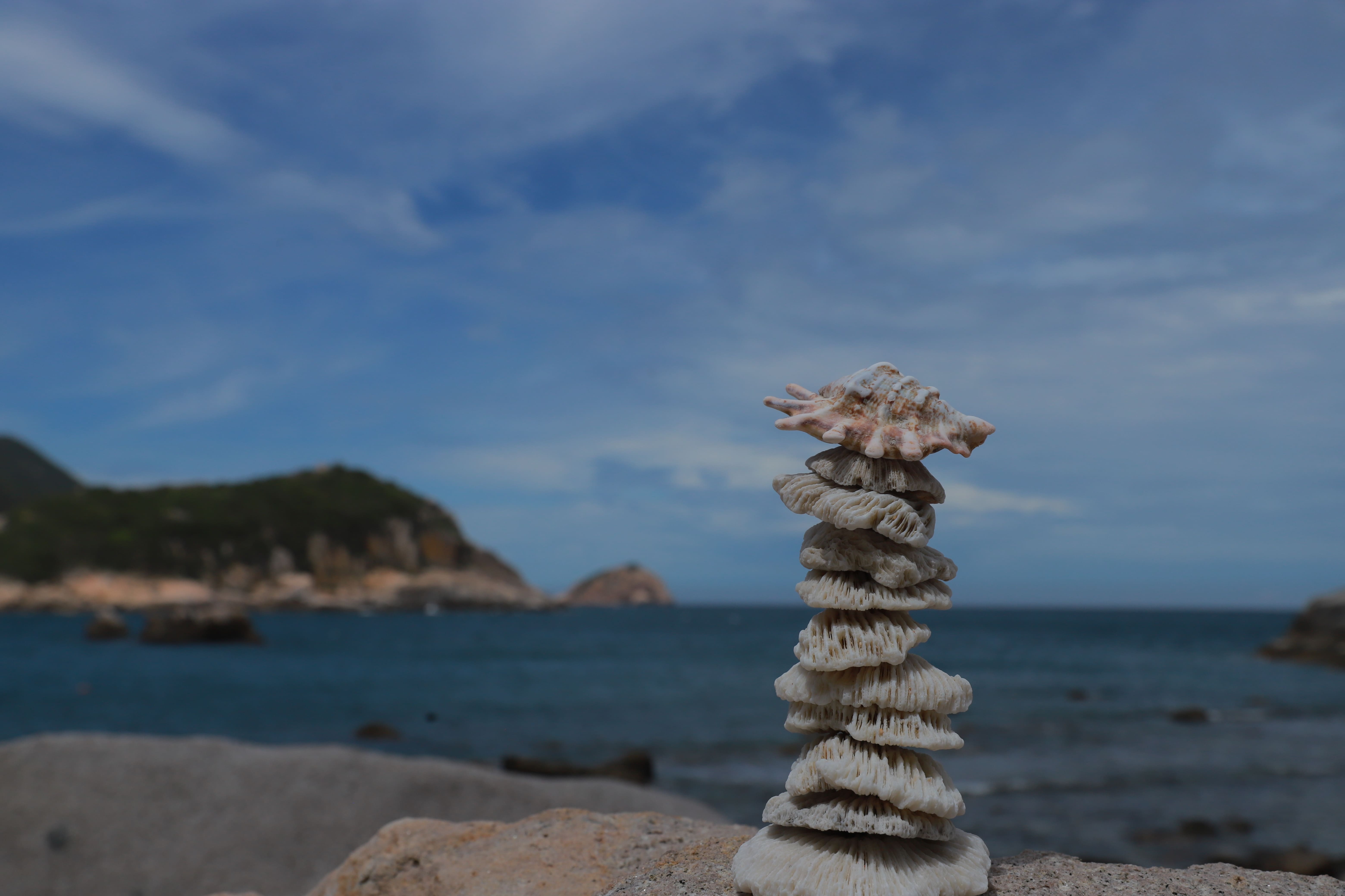 Khám Phá Vĩnh Hy: Viên Ngọc Ẩn Mình Của Ninh Thuận Cùng G7CTravel